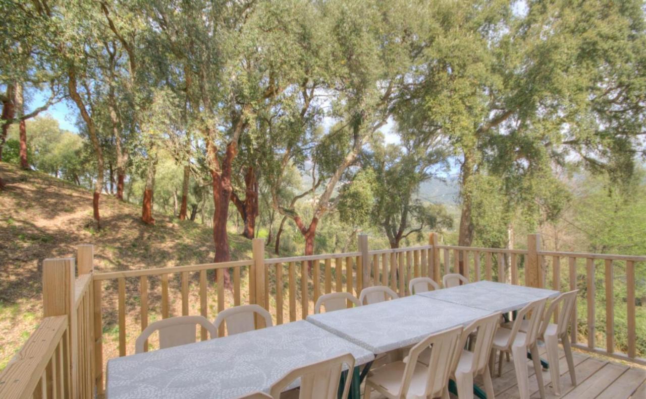 Gites Carbuccia En Corse Avec Piscine Chauffee Luaran gambar