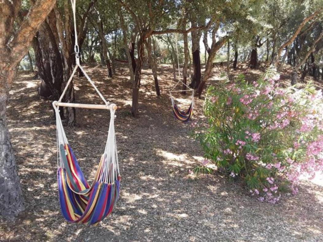 Gites Carbuccia En Corse Avec Piscine Chauffee Luaran gambar